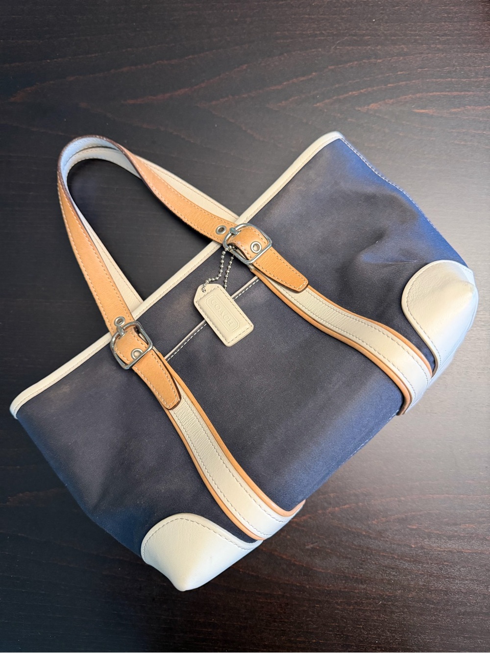 Coach Hampton Mini Market Tote